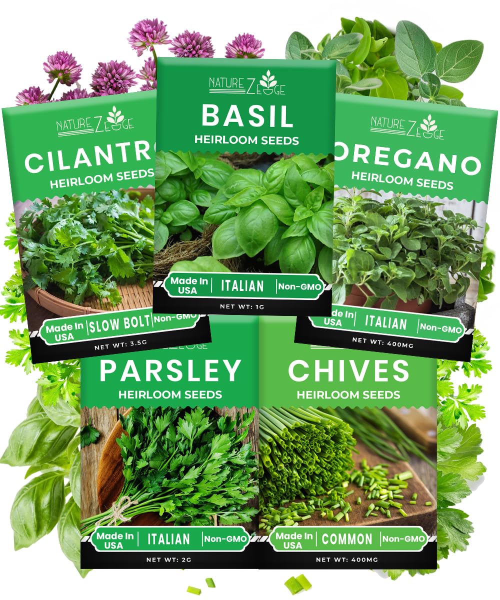 Amazon.com: NatureZ Edge Herb Seeds Variety Pack, Basil Cilantro